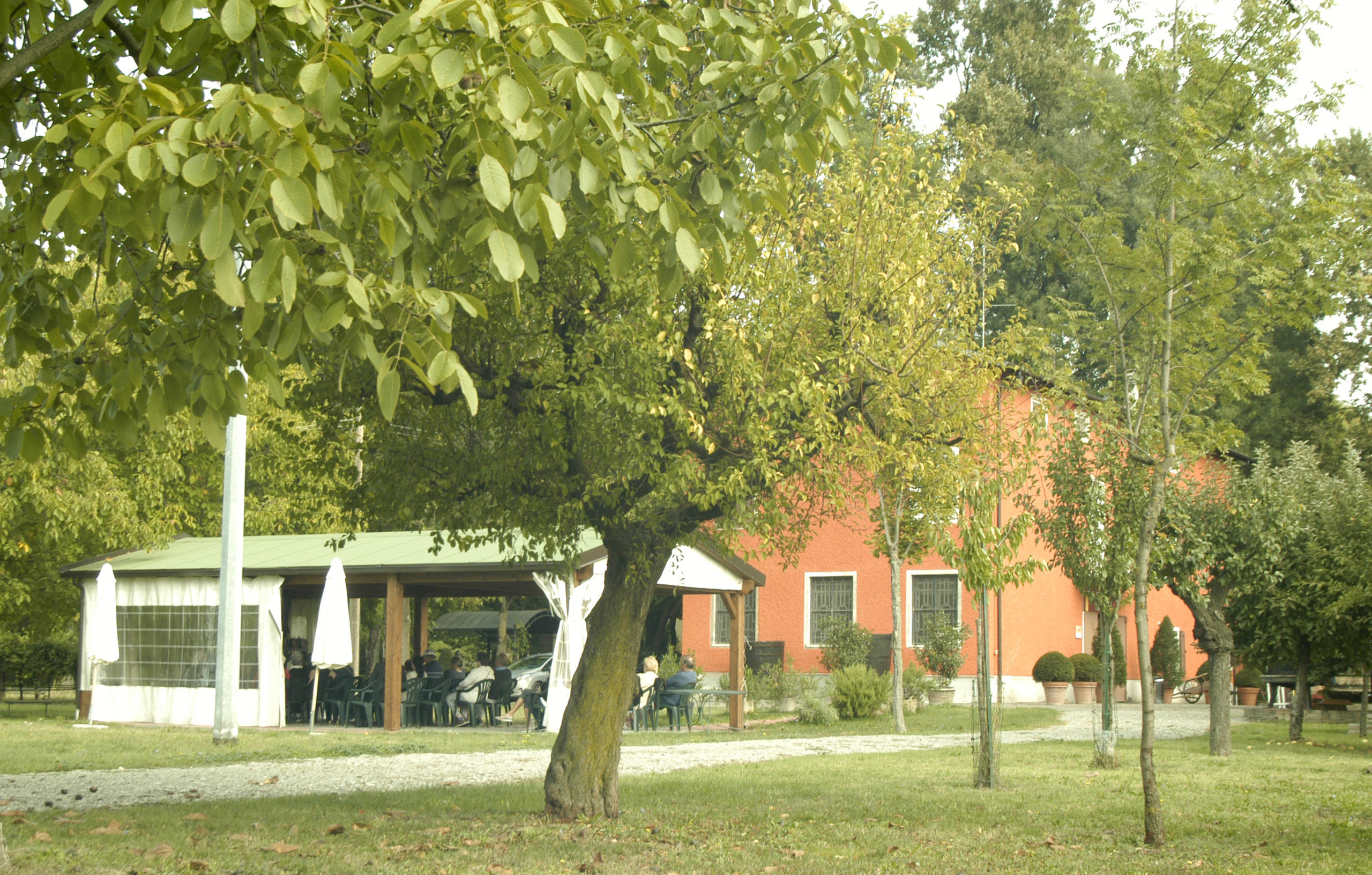 ASD 084